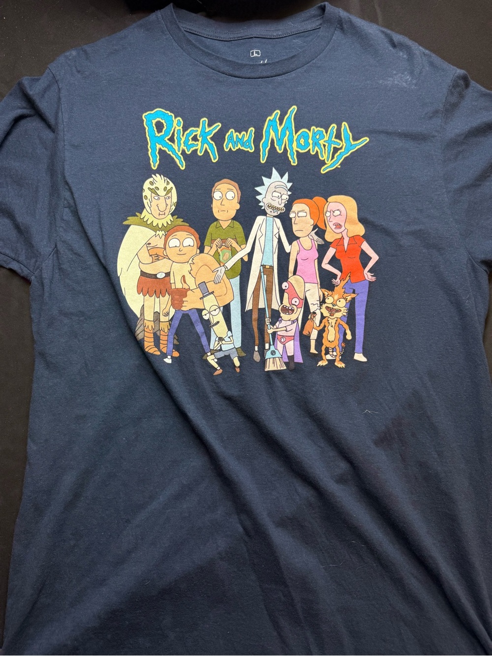 Rick and Morty Navy Graphic Tee (L)